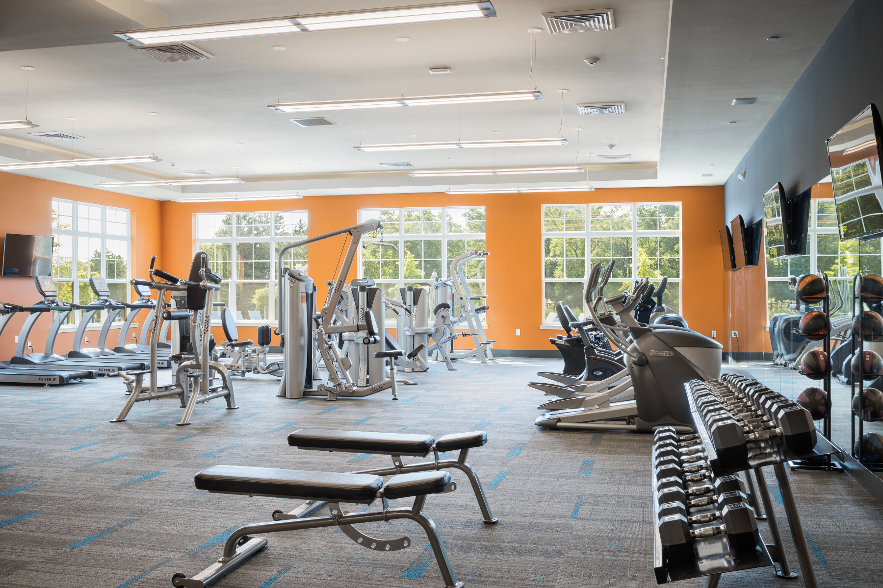 The Park fitness center amenity - Roselle, NJ